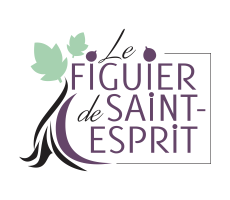 LE FIGUIER DE SAINT-ESPRIT